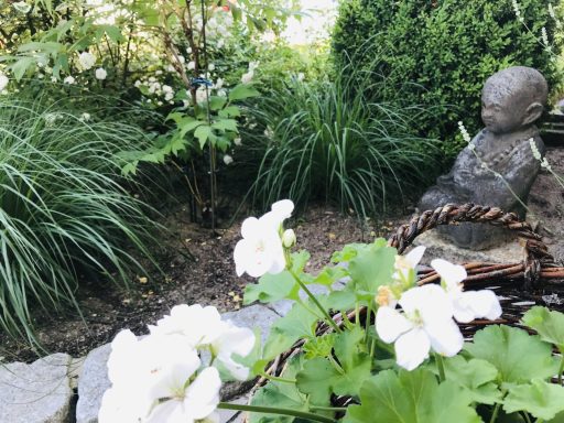 Außenbereich - Garten Ferienwohnung Enspannungszeit, Neustrelitz, Kluger See, Klein Trebbow, Meckelnburger Seenlandschaft, naturnah, stadtnah