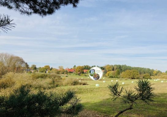 Außenbereich - Feldblick Ferienwohnung Enspannungszeit, Neustrelitz, Kluger See, Klein Trebbow, Mecklenburger Seenlandschaft, naturnah, stadtnah