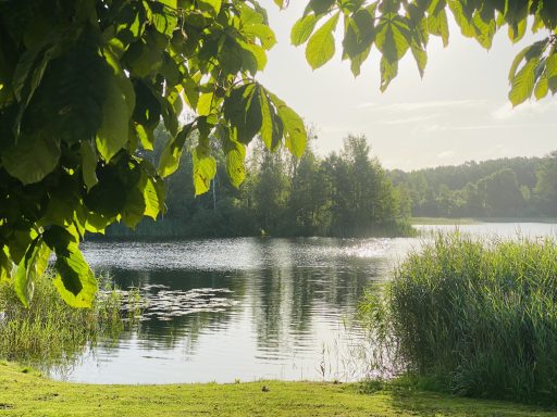 Badestelle, Klein Trebbow, Kluger See Ferienwohnung Enspannungszeit, Neustrelitz, Kluger See, Klein Trebbow, Mecklenburger Seenlandschaft, naturnah, stadtnah