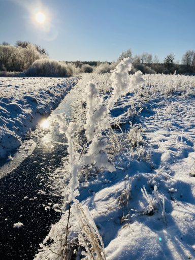 Winteridylle - Kanal zum Kluger See Ferienwohnung Enspannungszeit, Neustrelitz, Kluger See, Klein Trebbow, Mecklnburger Seenlandschaft, naturnah, stadtnah